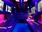 Mercedes Sprinter Limo 